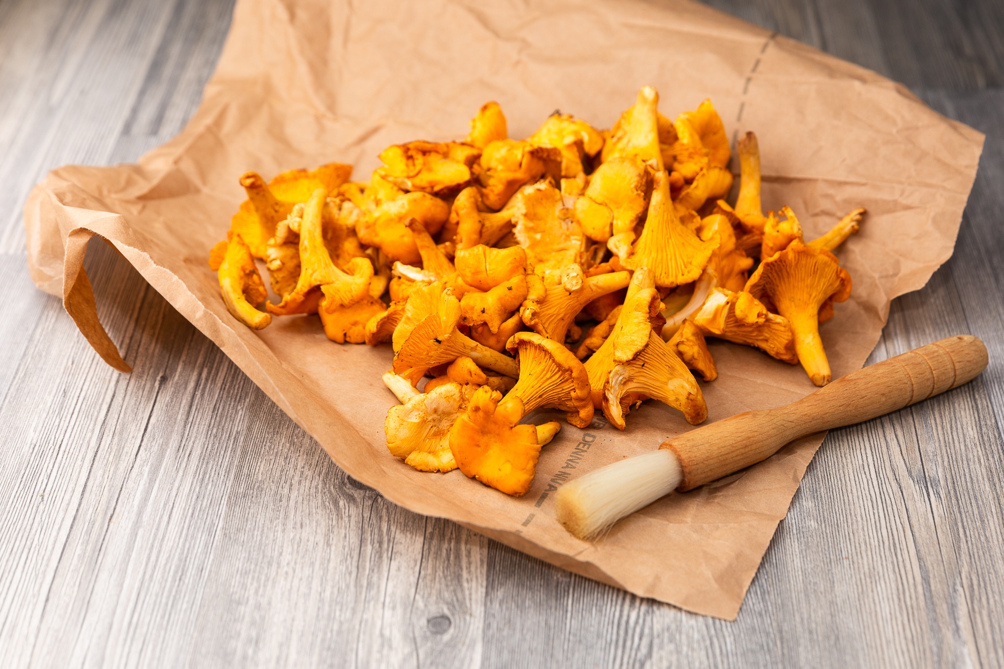 Gheestekta kantareller